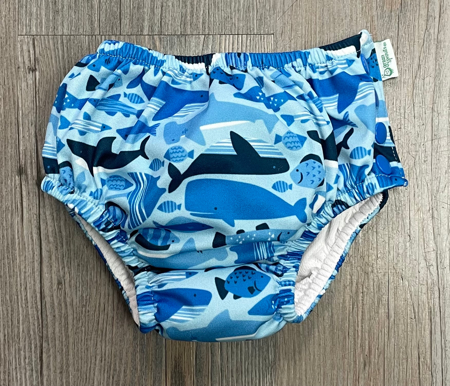 Blue Green Sprout Swim Diaper, 12M
