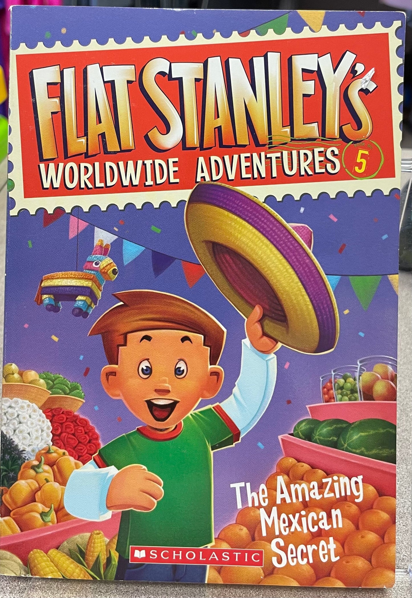 Multi Flat Stanley #5, Paperback