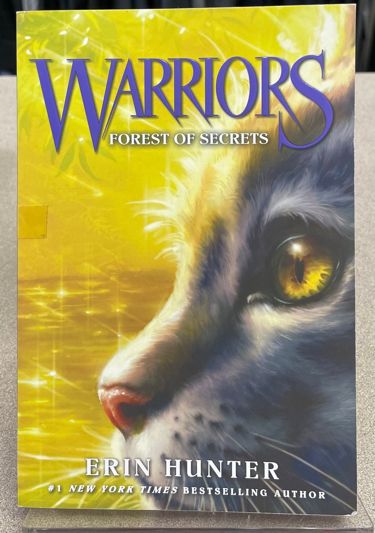 Multi Warriors Forest Of Secret, Paperback