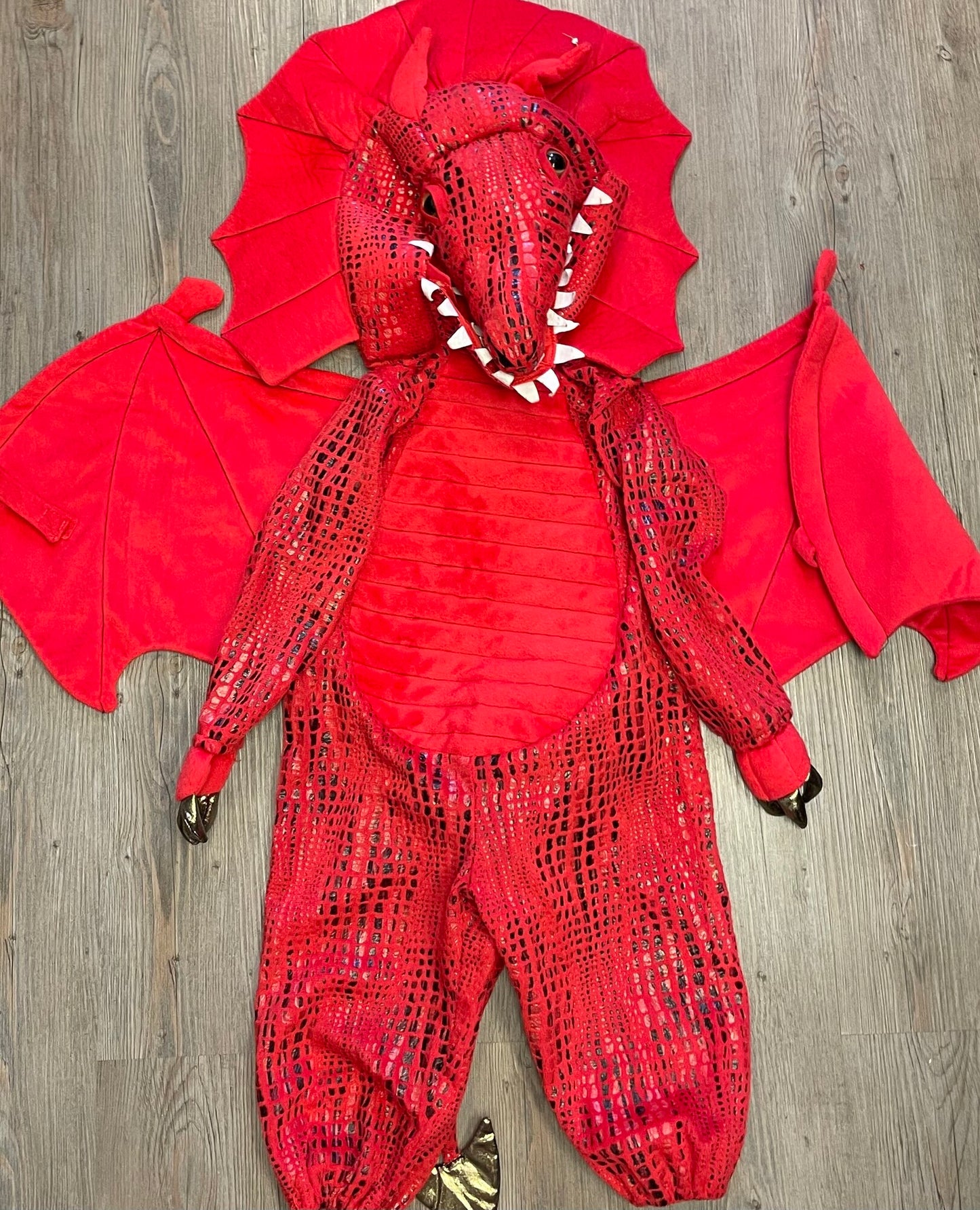 Red Pottery Barn Dino Costume, 2Y+