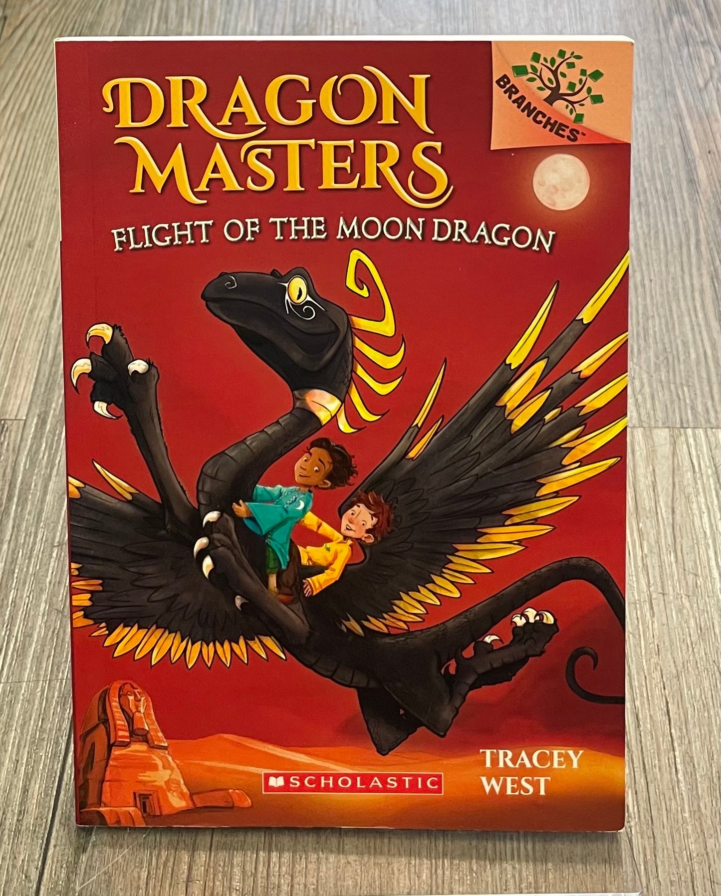 Multi Dragon Masters #6, Paperback