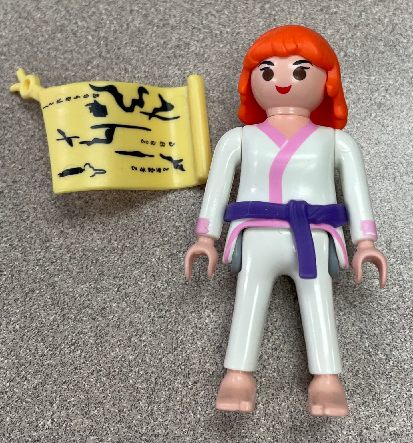Multi Playmobil Dojo Daphne, Pre-owned