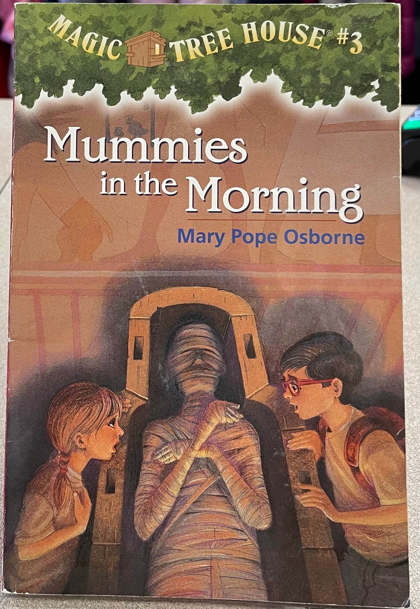 Brown Mummies In The Morning, Paperback