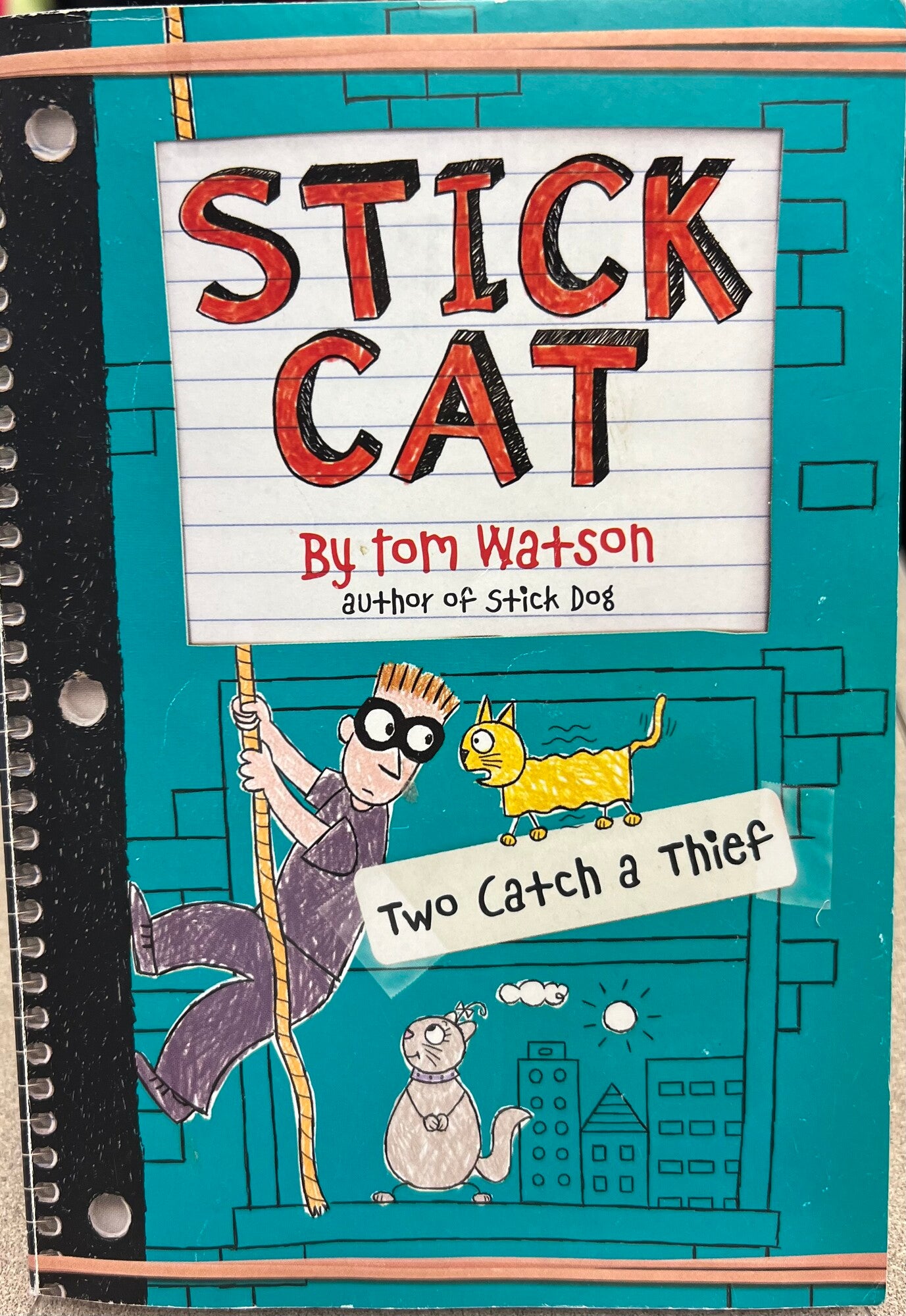 Multi Stick Cat Two Catch A Thi, Paperback