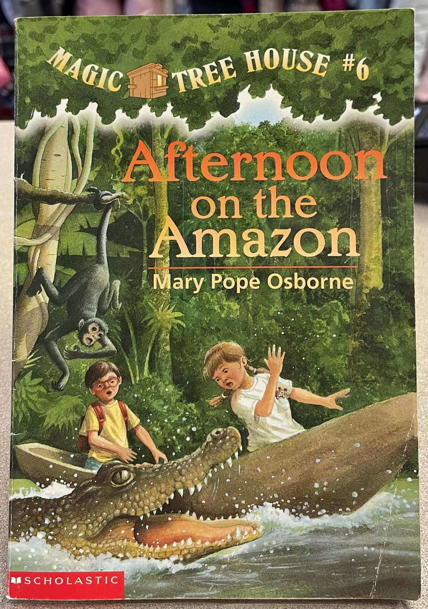 Multi Afternoon On The Amazon, Paperback