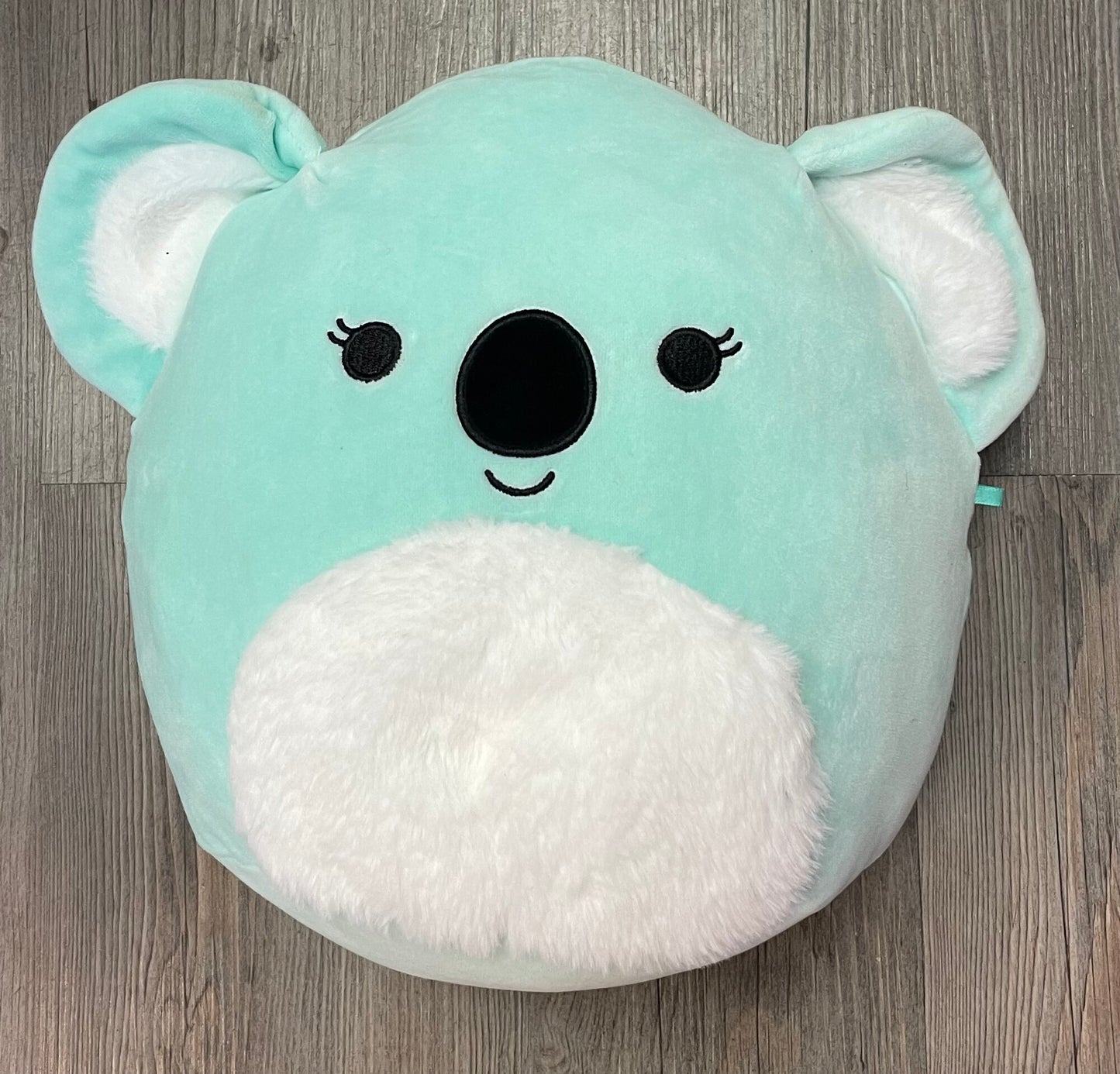 Mint Squishmallows Koala, 11 Inch