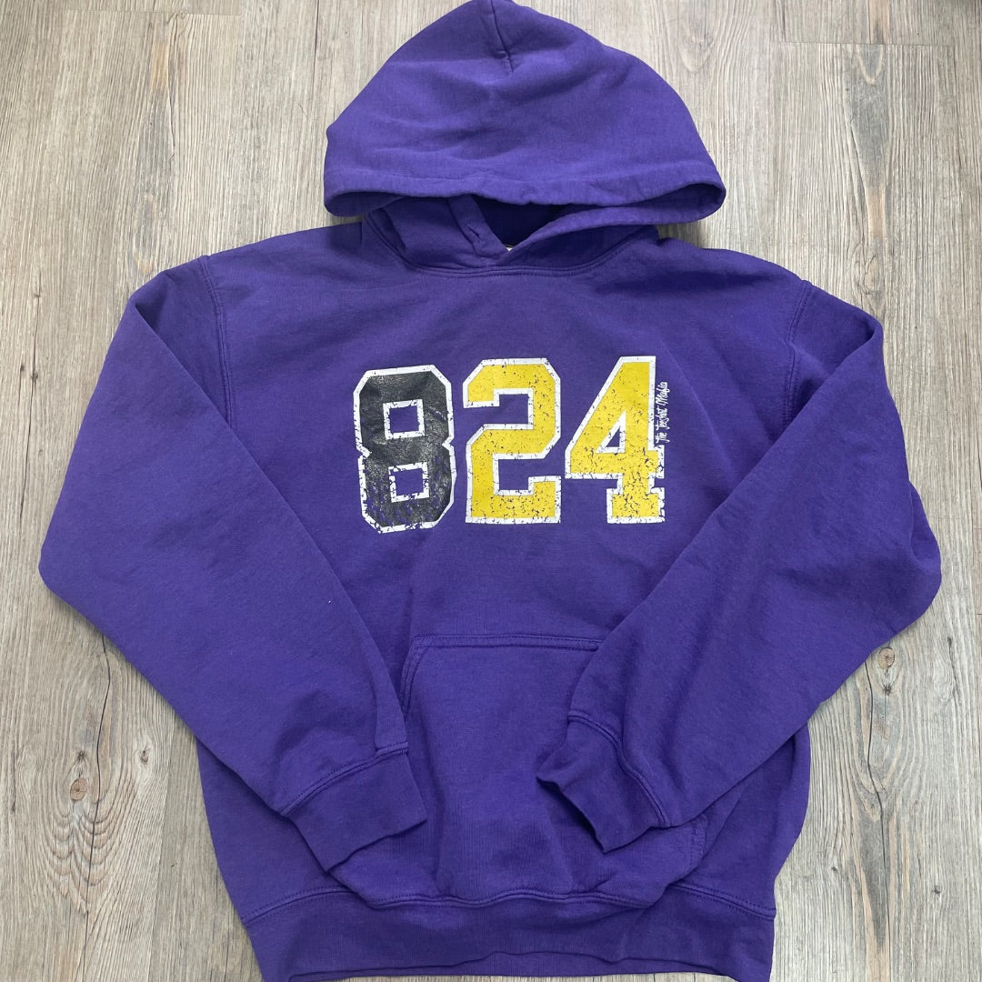 Purple Pullover Hoodie, 9-10Y