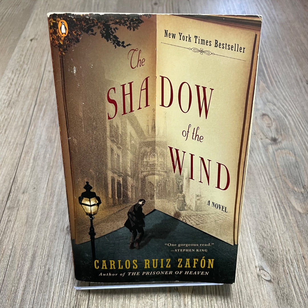 Multi Colour The Shadow Of The Wind, Paperback