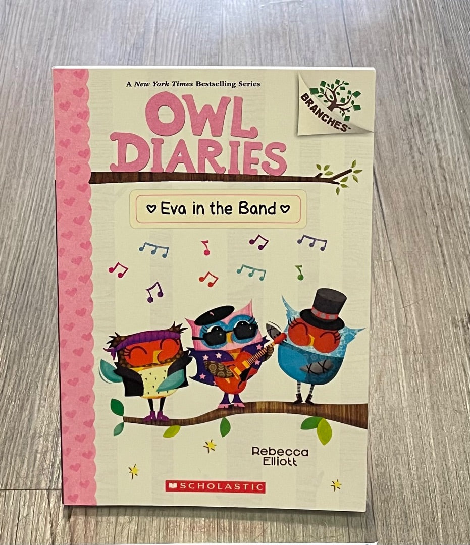 Multi Colour Owl Diaries#17, Paperback