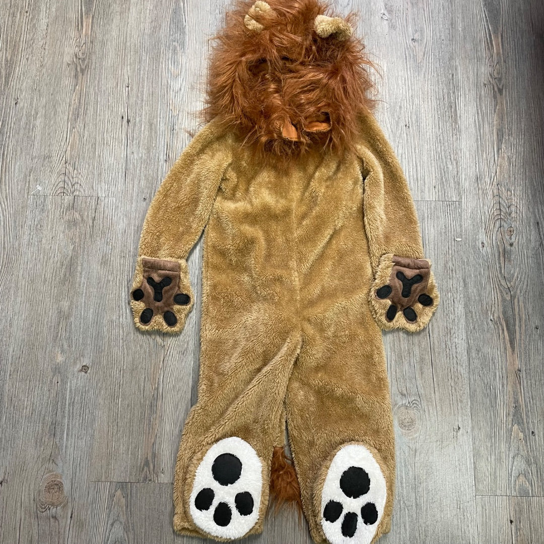 Brown Fun.com Lion, 2Y