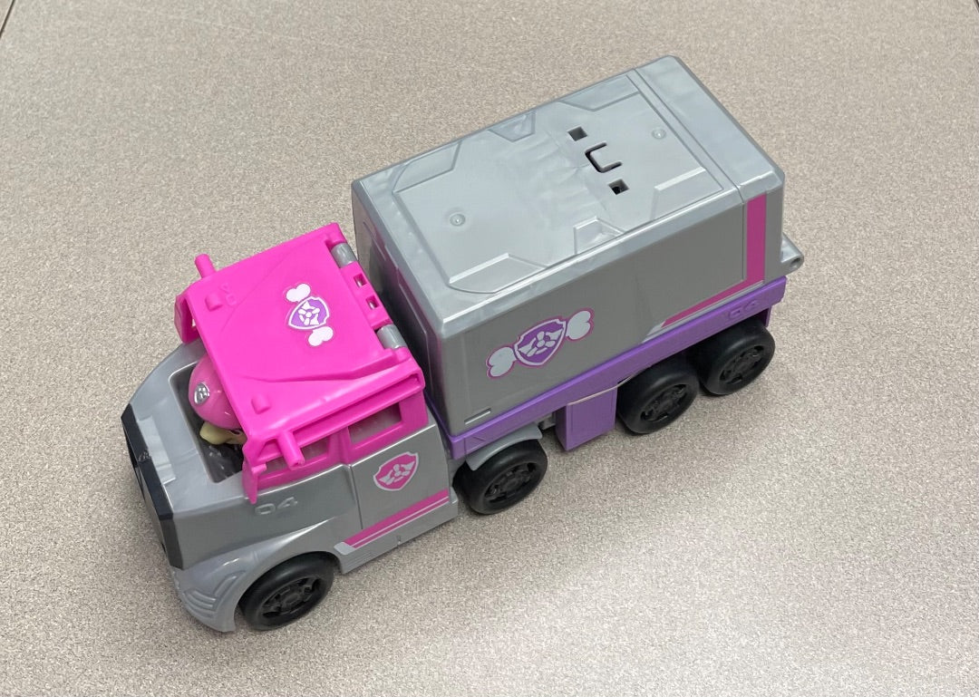 Pink Paw Patrol Skye and Truck, 2pc
