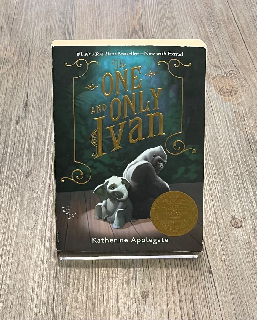 Multi Colour The One and Only Ivan, Paperback