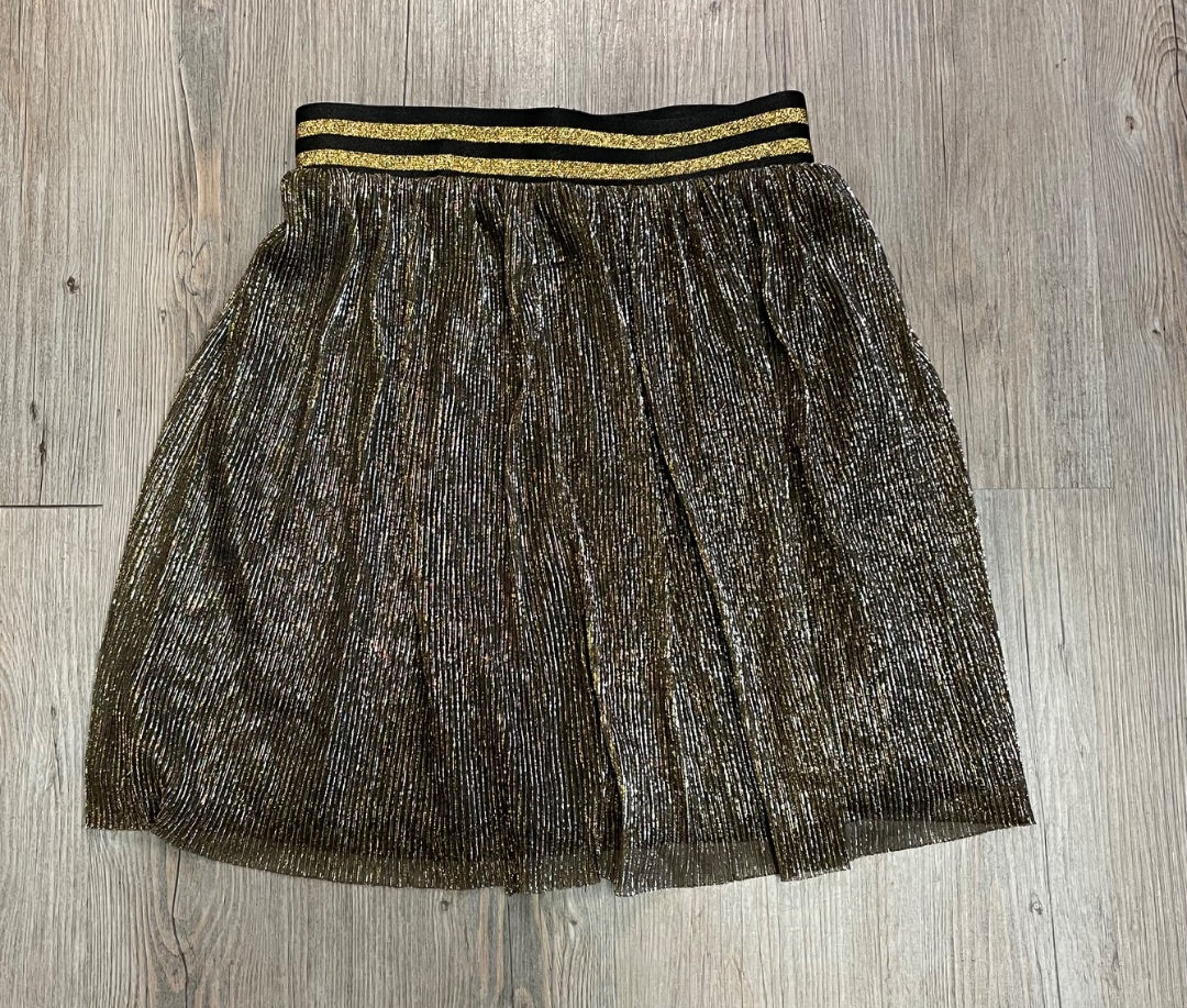 Gold ,Silver Divided Pleated skirt, XS