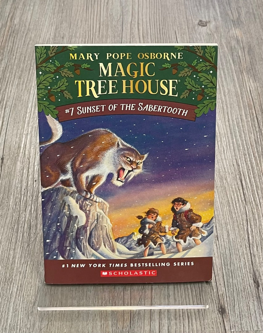 Multi Colour Magic Tree House #7, Paperback
