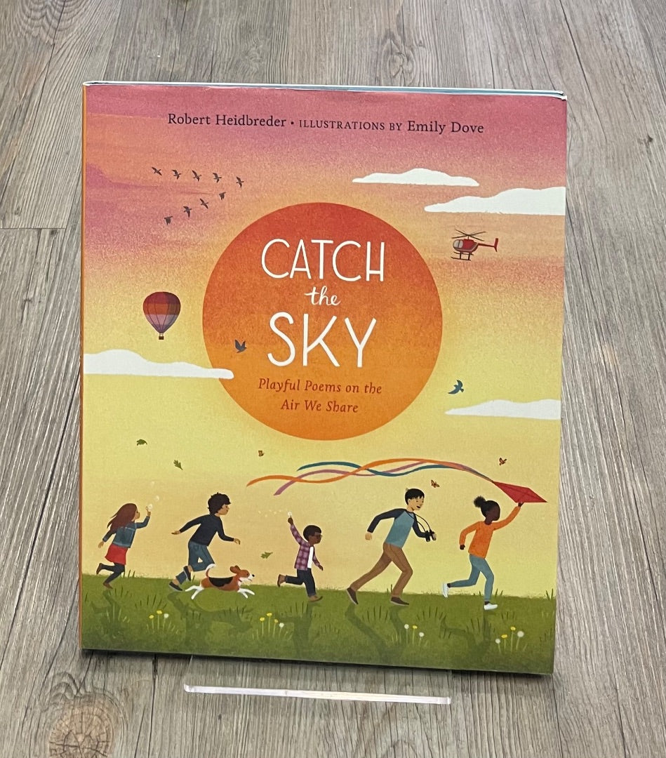 Multi Colour Catch The Sky, Hardcover