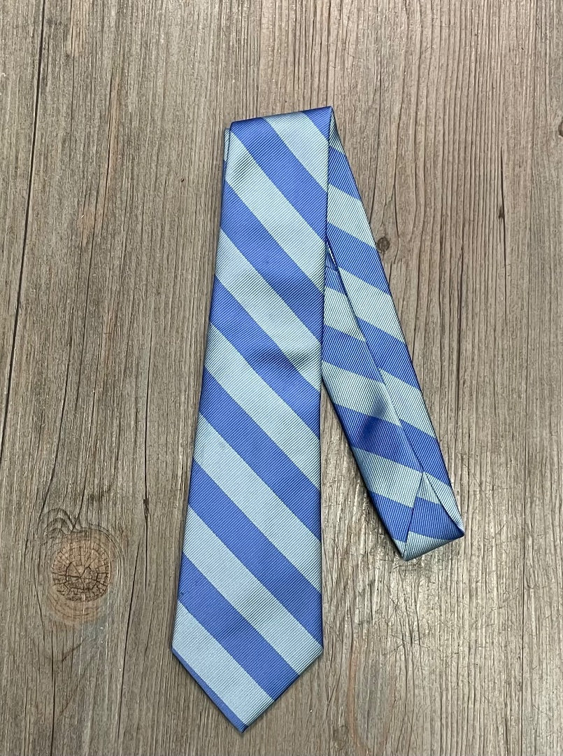 Blue Gap Neck Tie