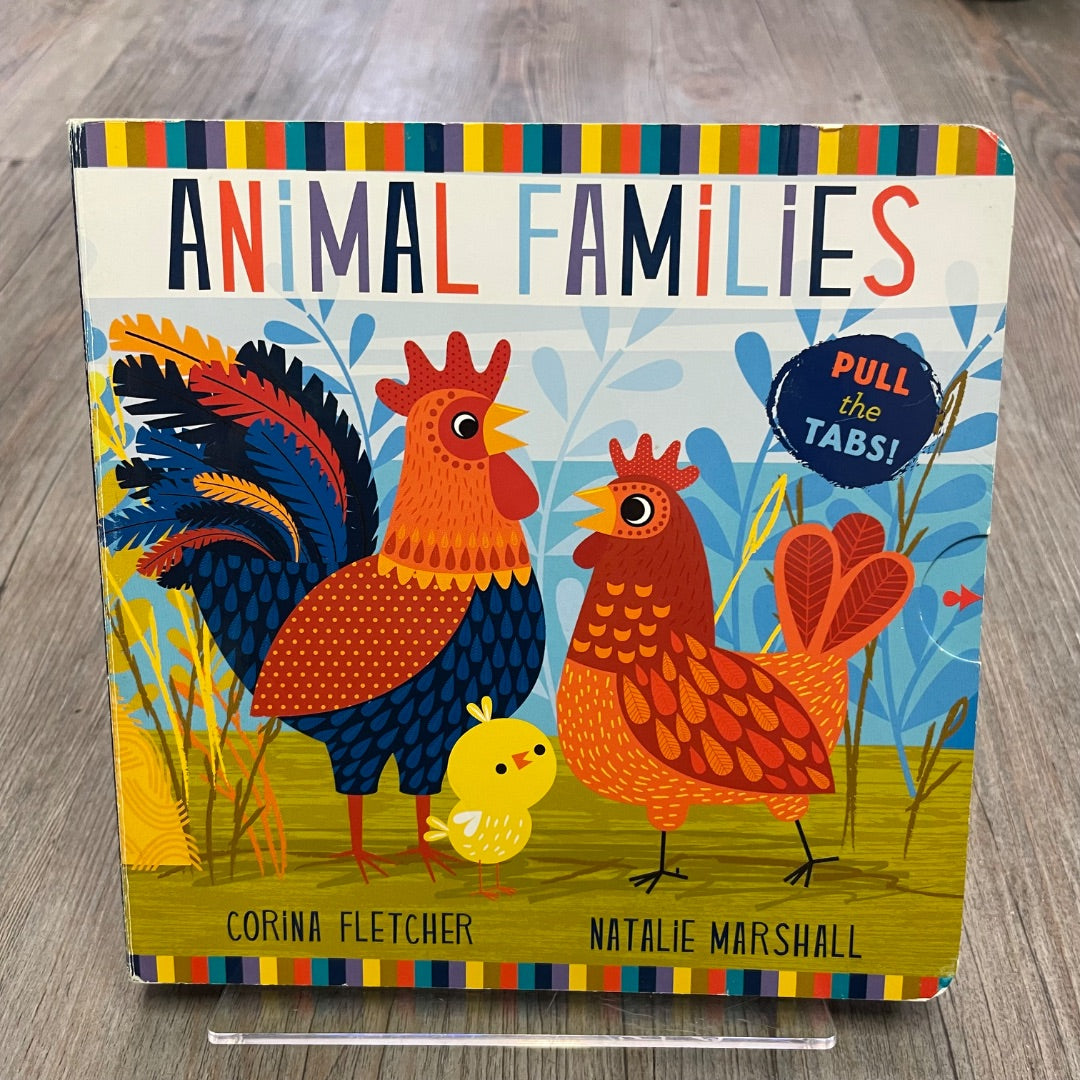 Multi Colour Animal Families, Boardbook