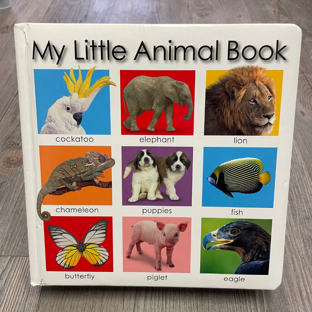 Multi Colour My Little Animal Book, Boardbook
