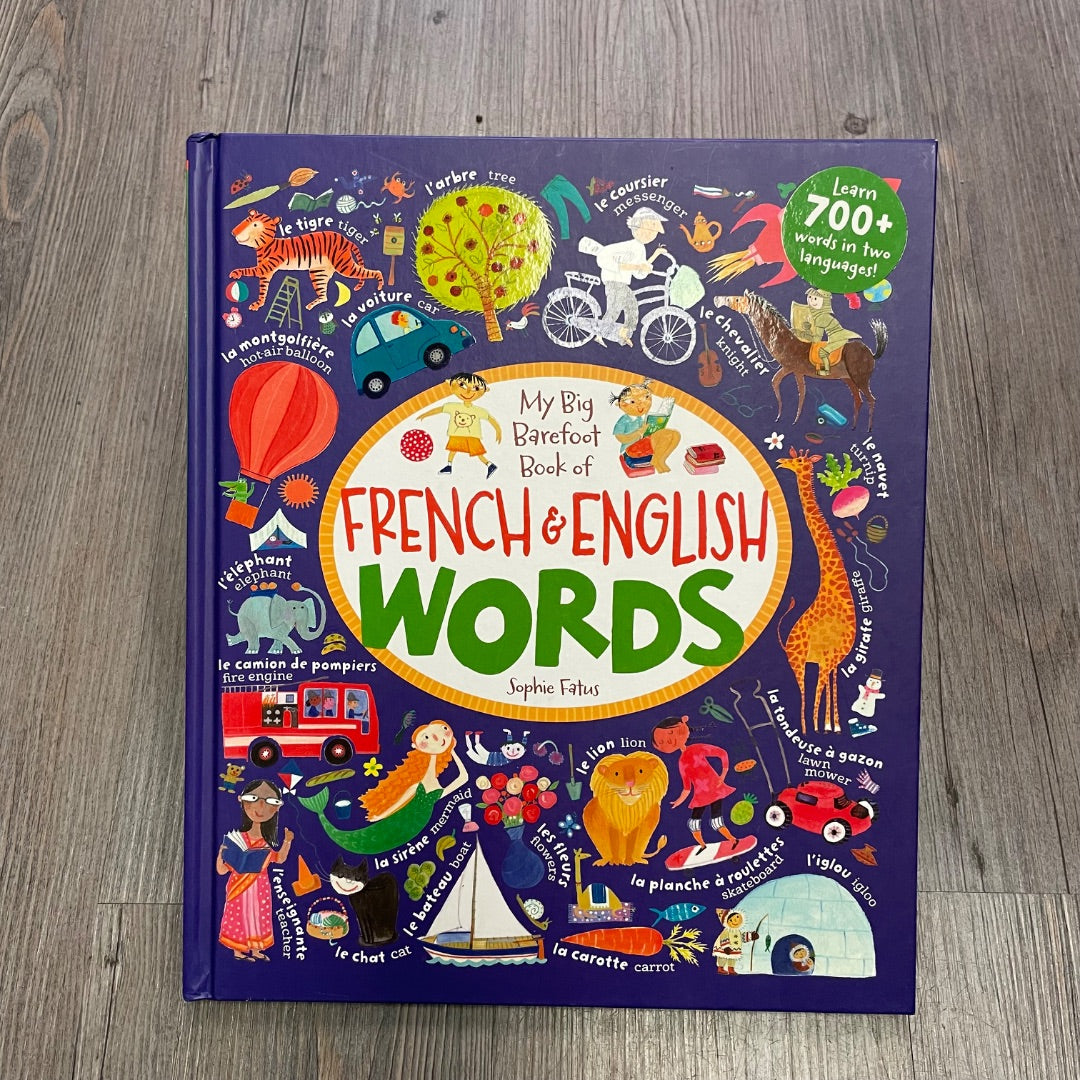 Multi Colour French And English Words, Hardcover