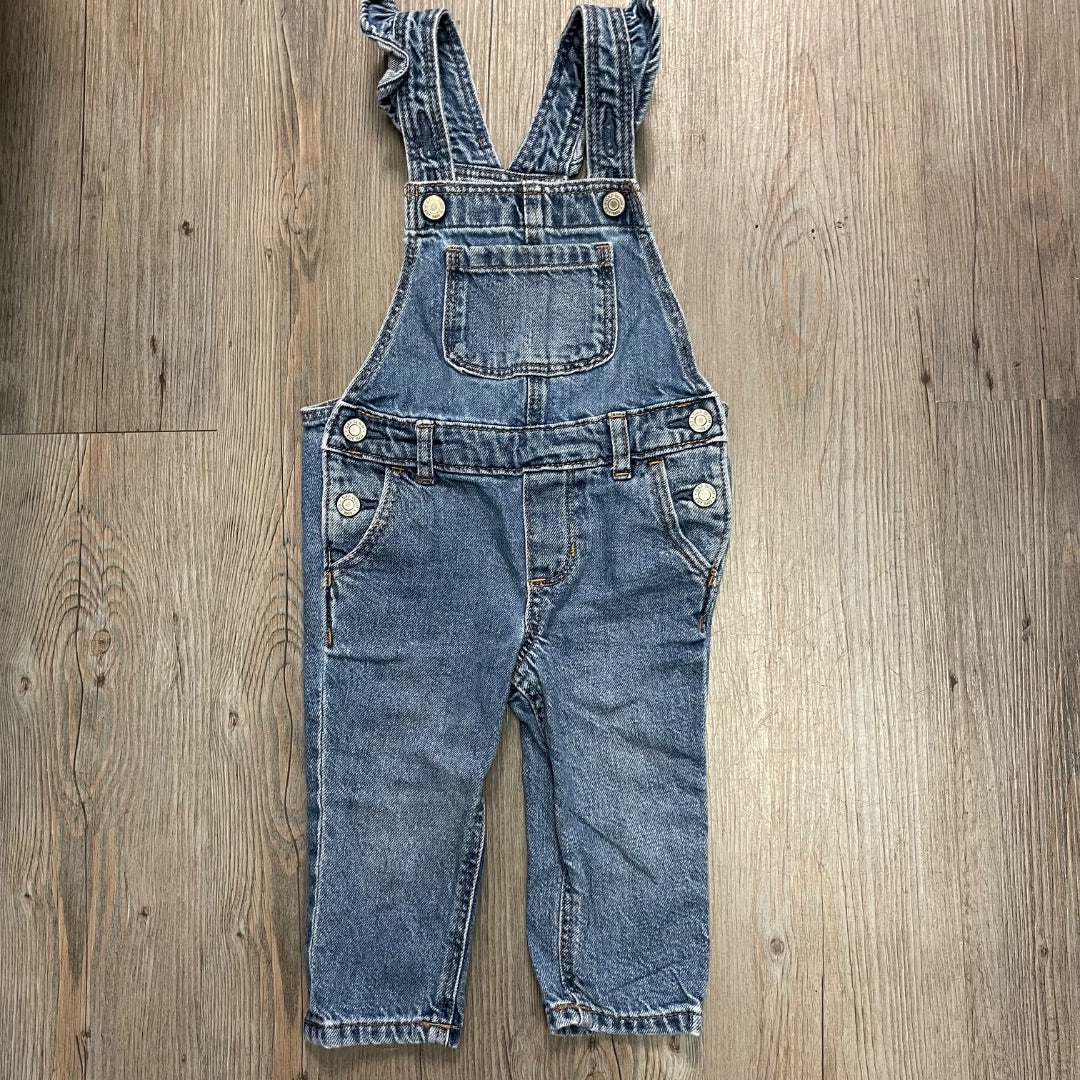 Blue Gap Overall, 12-18M