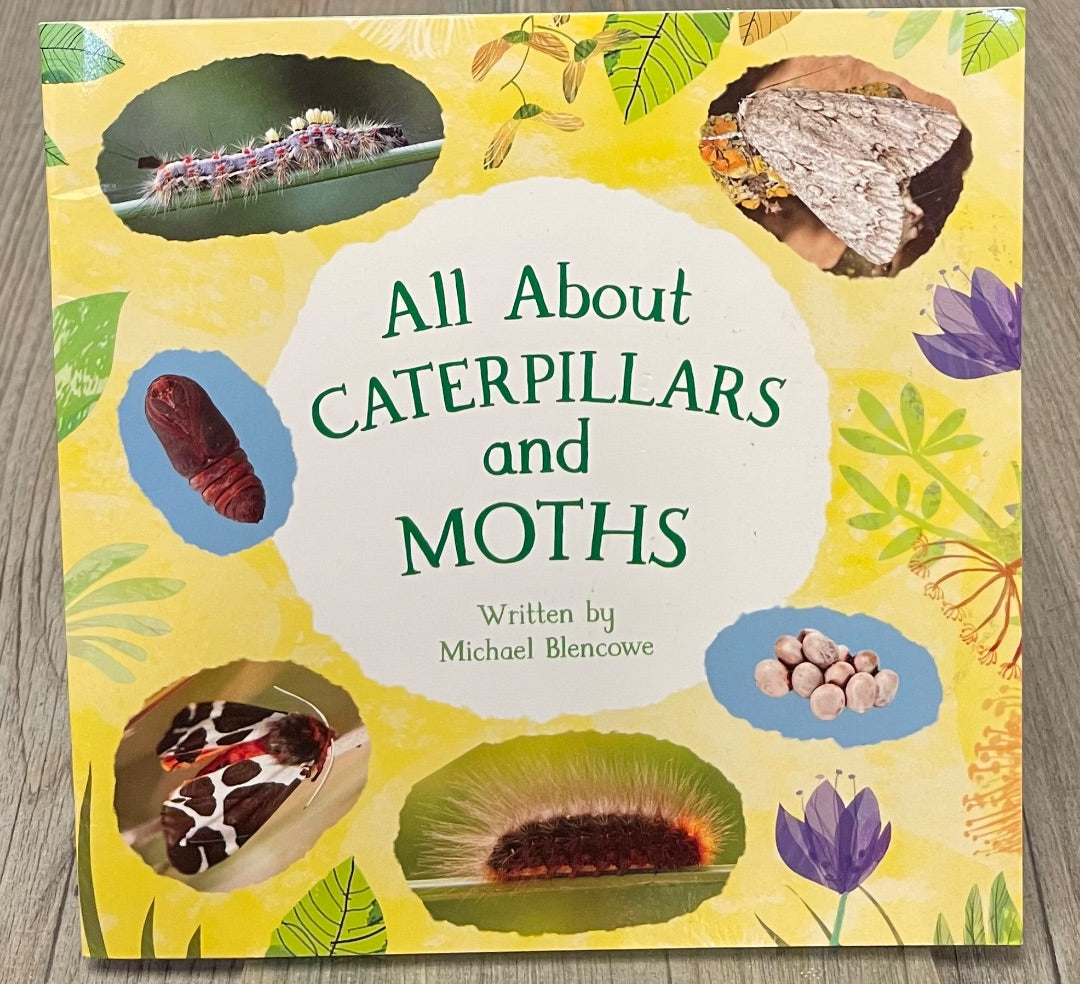 Multi Colour Caterpillars and Moths, Paperback