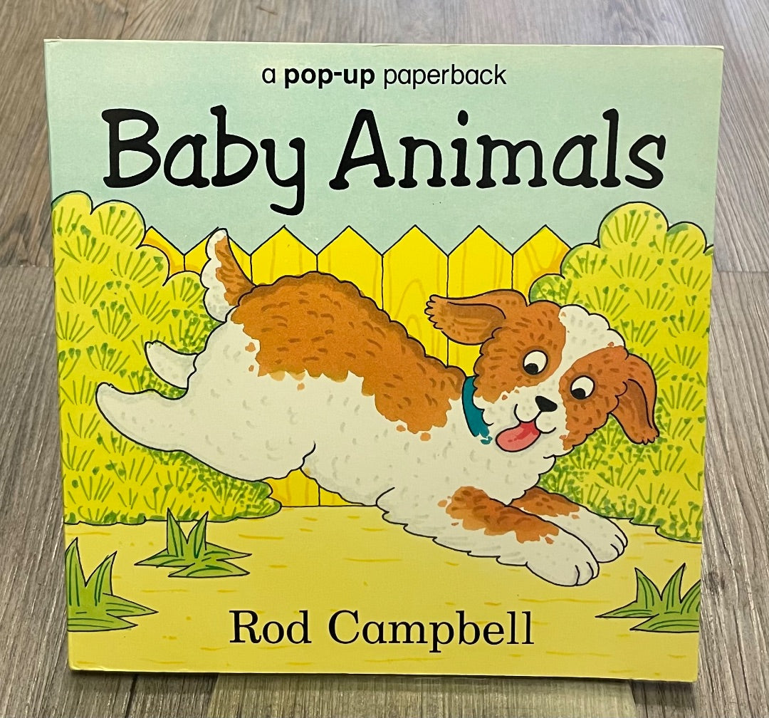 Multi Colour Rod Campbell Baby Animals Pop Up Book, Paperback