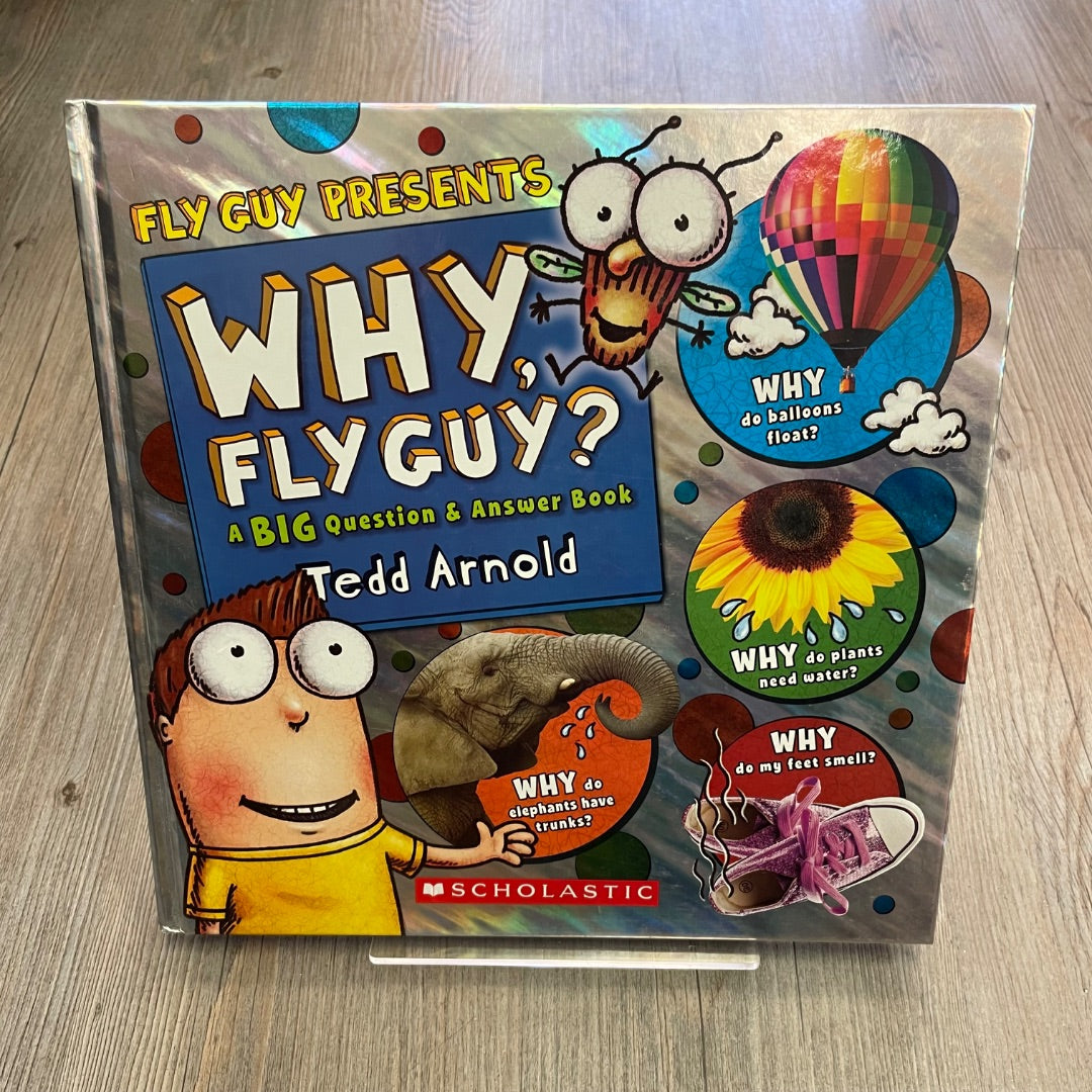 Multi Colour Why Fly Guy?, Hardcover
