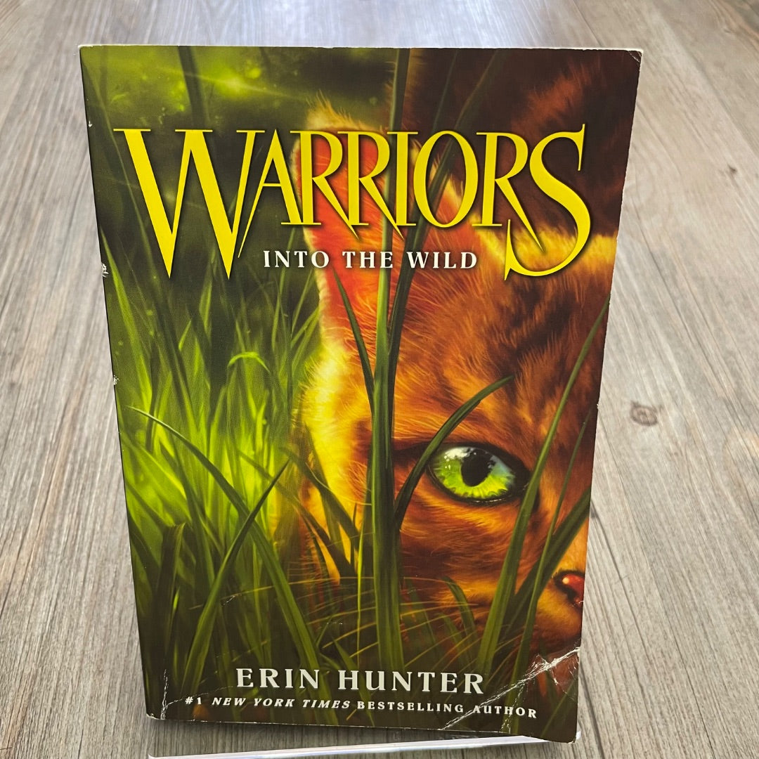 Multi Colour Warriors #1 Into The Wild, Paperback