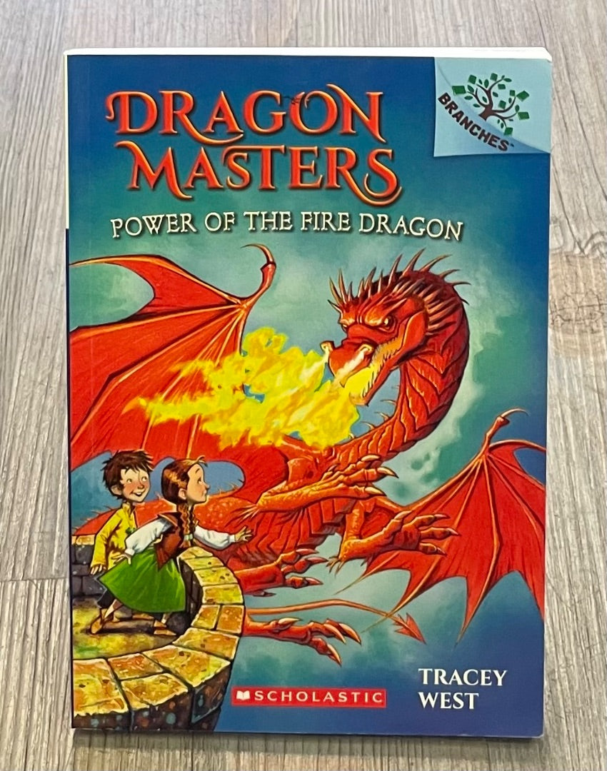 Multi Colour Dragon Masters #4, Paperback
