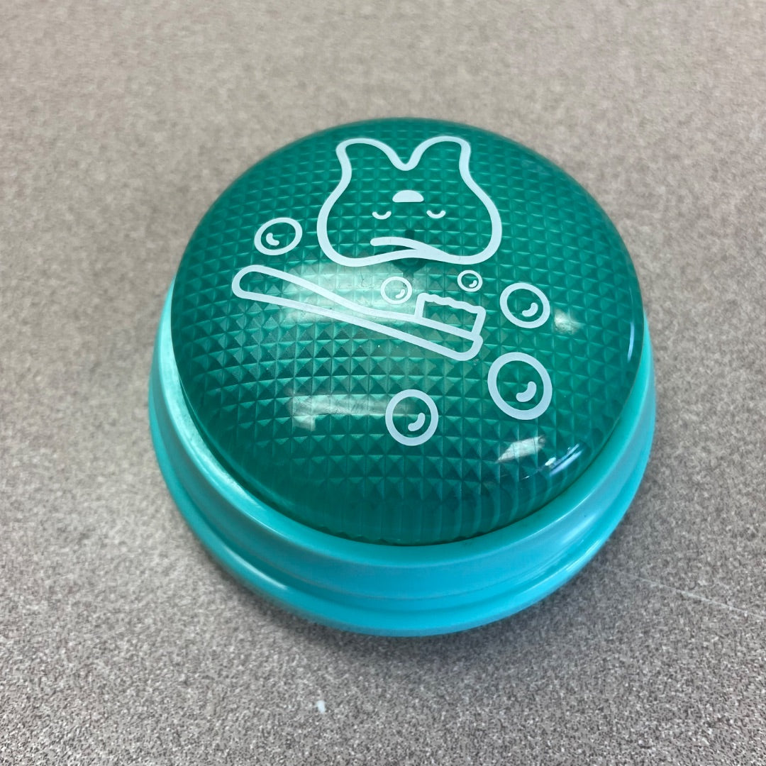 Mint Tooth Brushing Timer, Pre-owned
