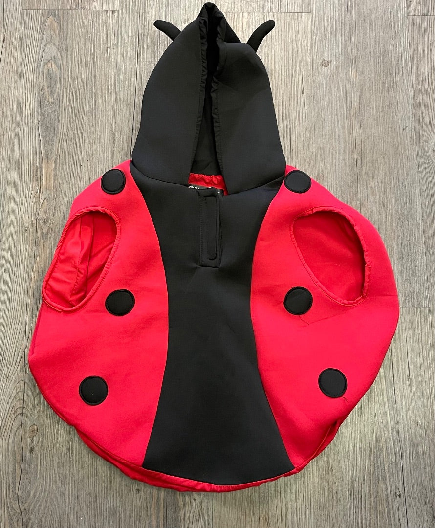 Red Zara Lady Bug, 3-4Y