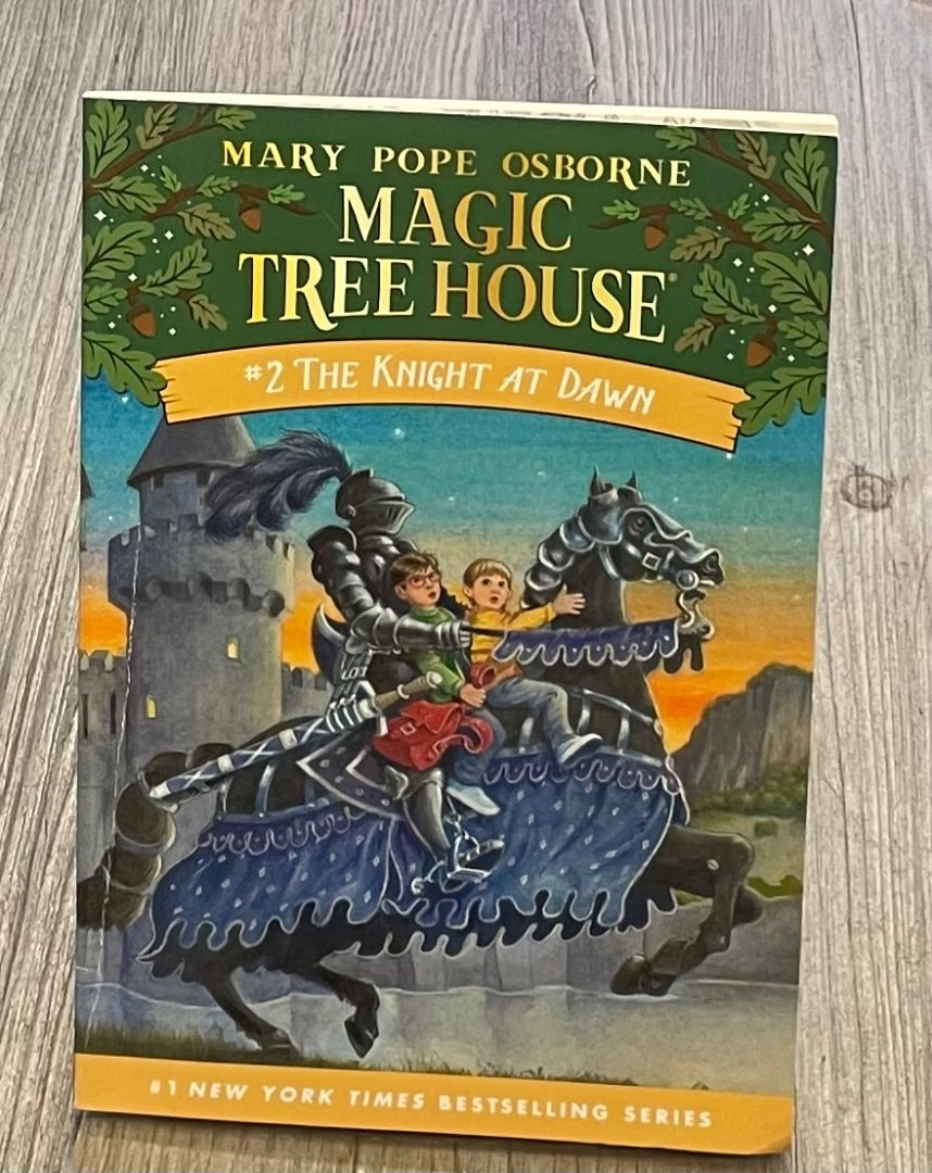 Multi Colour Magic Tree House #2, Paperback
