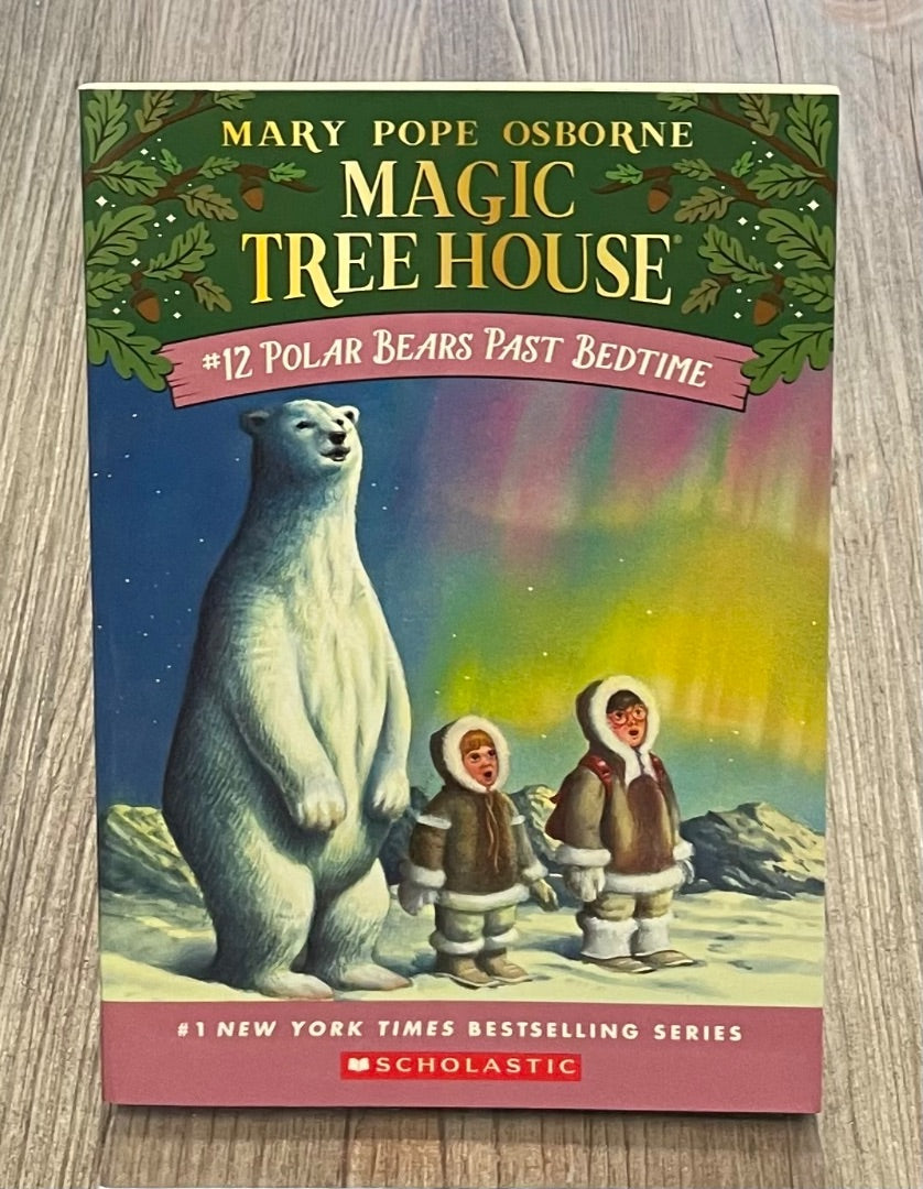 Multi Colour Magic Tree House #12, Paperback