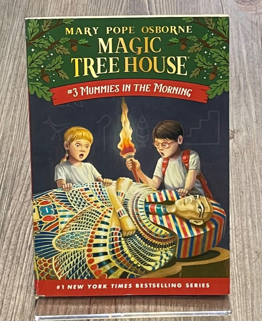 Multi Colour Magic Tree House #3, Paperback