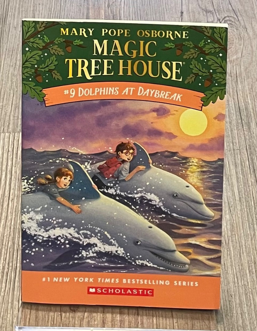Multi Colour Magic Tree House #9, Paperback