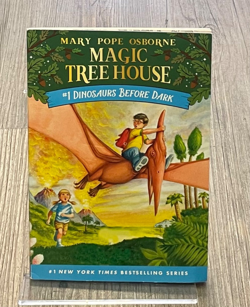 Multi Colour Magic Tree House #1, Paperback