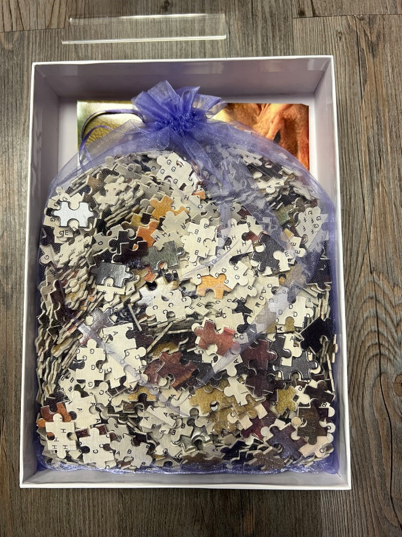 NOT COUNTED Worlds beautiful creative puzzle Mr. Bean's Mona Lisa 1000 Pcs Puzzle, 14Y+