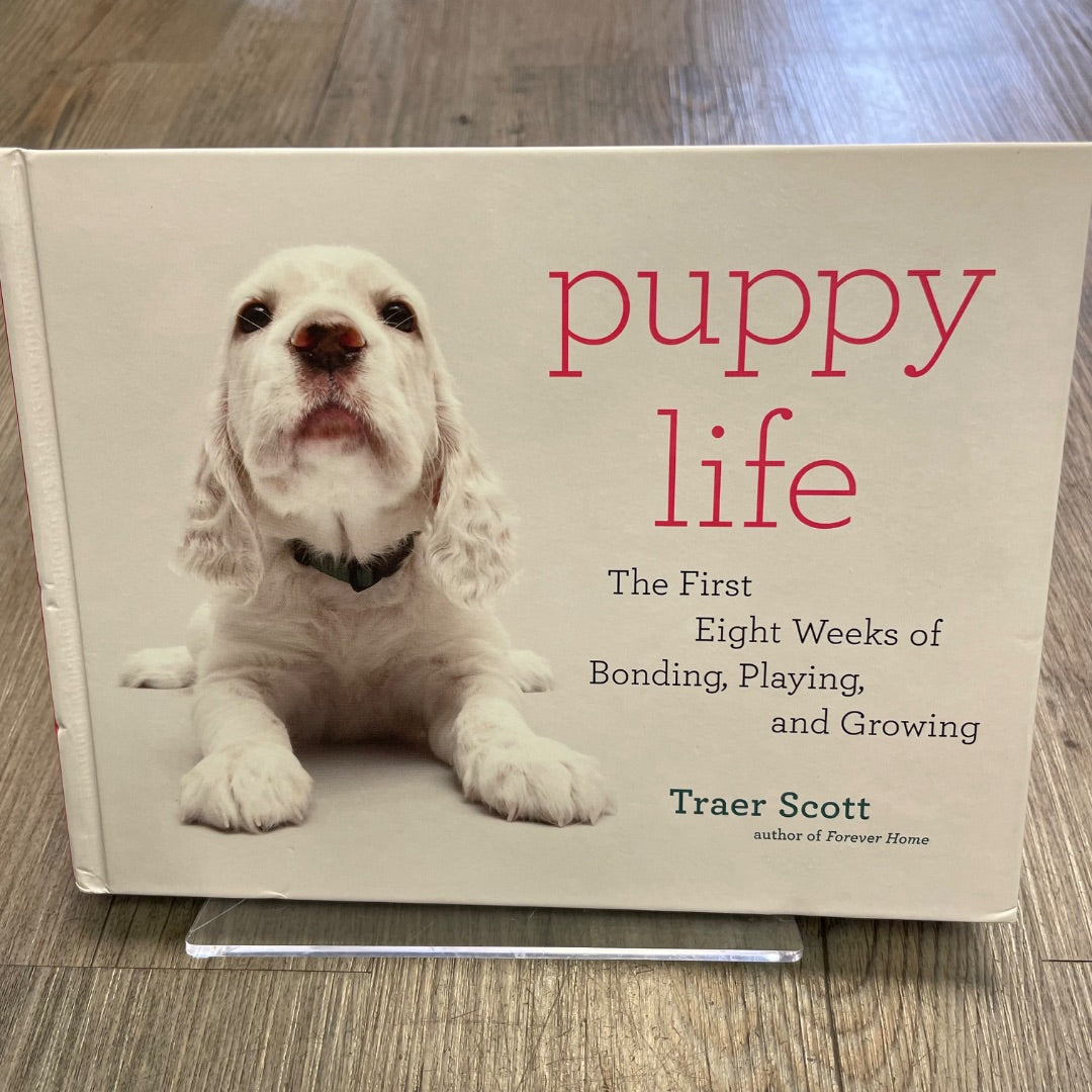 White Puffy Life, Hardcover