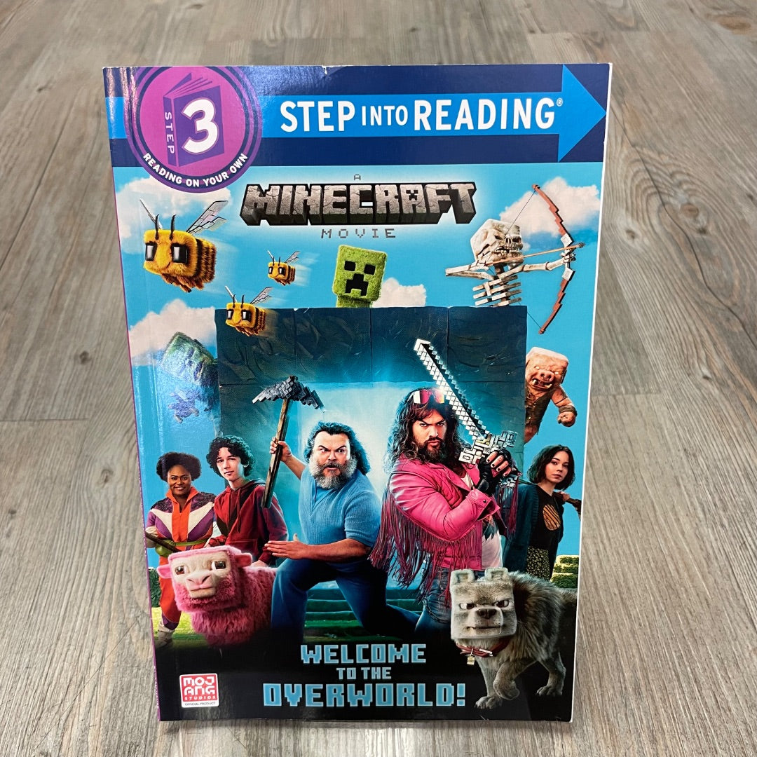 Multi Colour Minecraft Welcome To The Overworld, Paperback