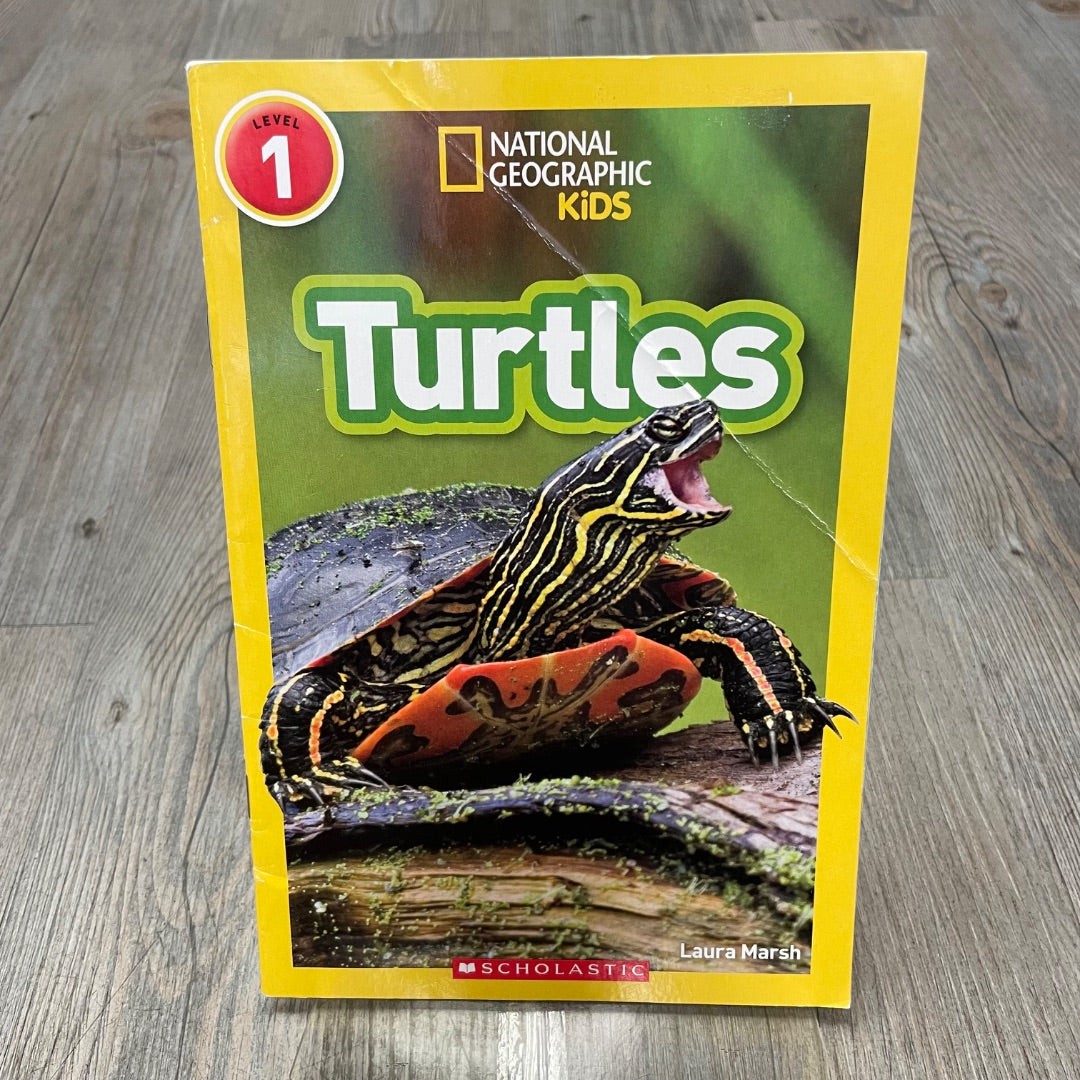 Multi Colour Turtles, Paperback