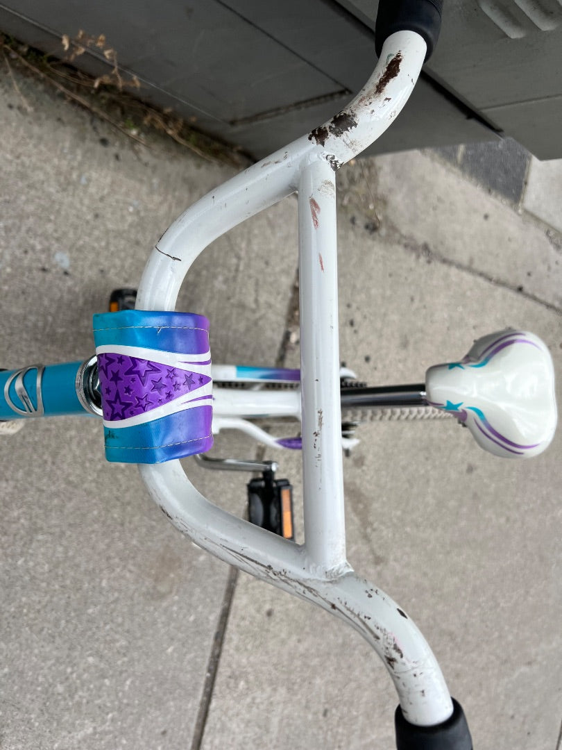 Purple Teal Giant Bicycle, 16 Inch