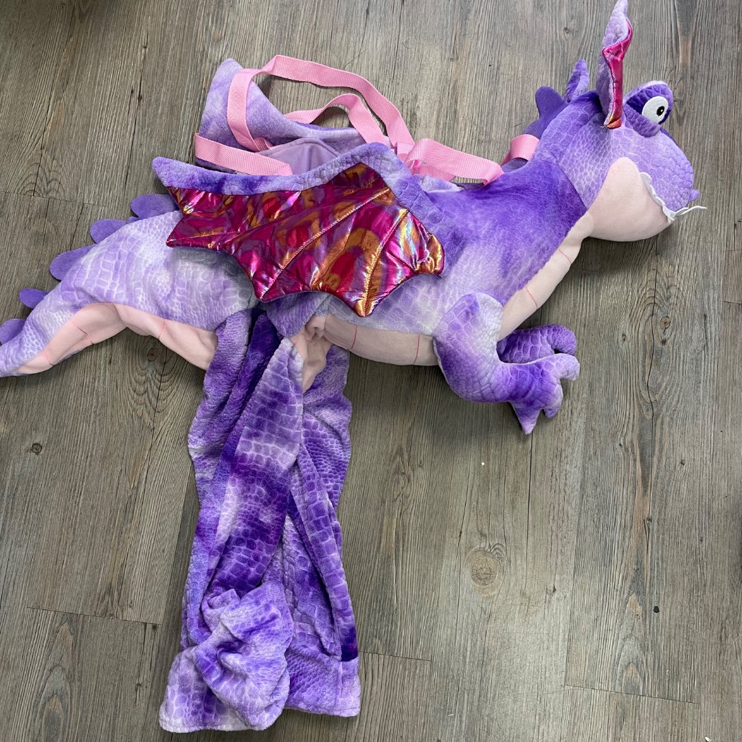Purple Dinosaur Costume, 2-3Y