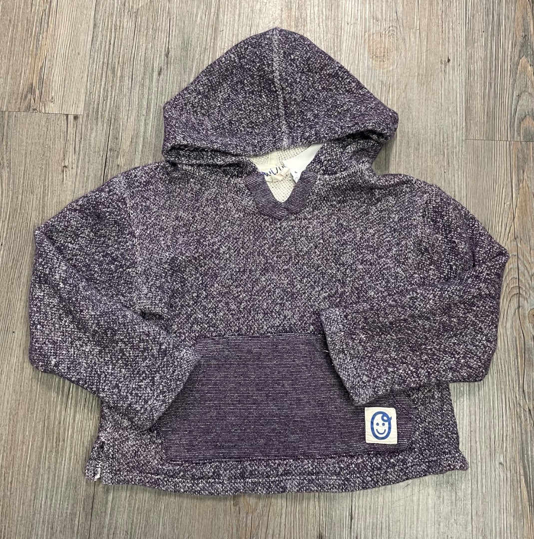 Purple Qui Me Pullover Hoodie, 4-5Y