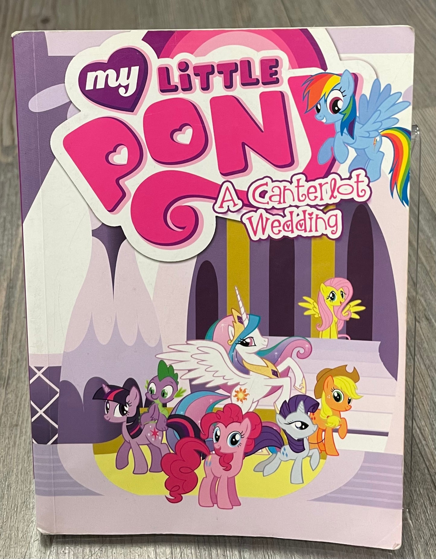 Multi My Litttle Pony A Canterl, Paperback