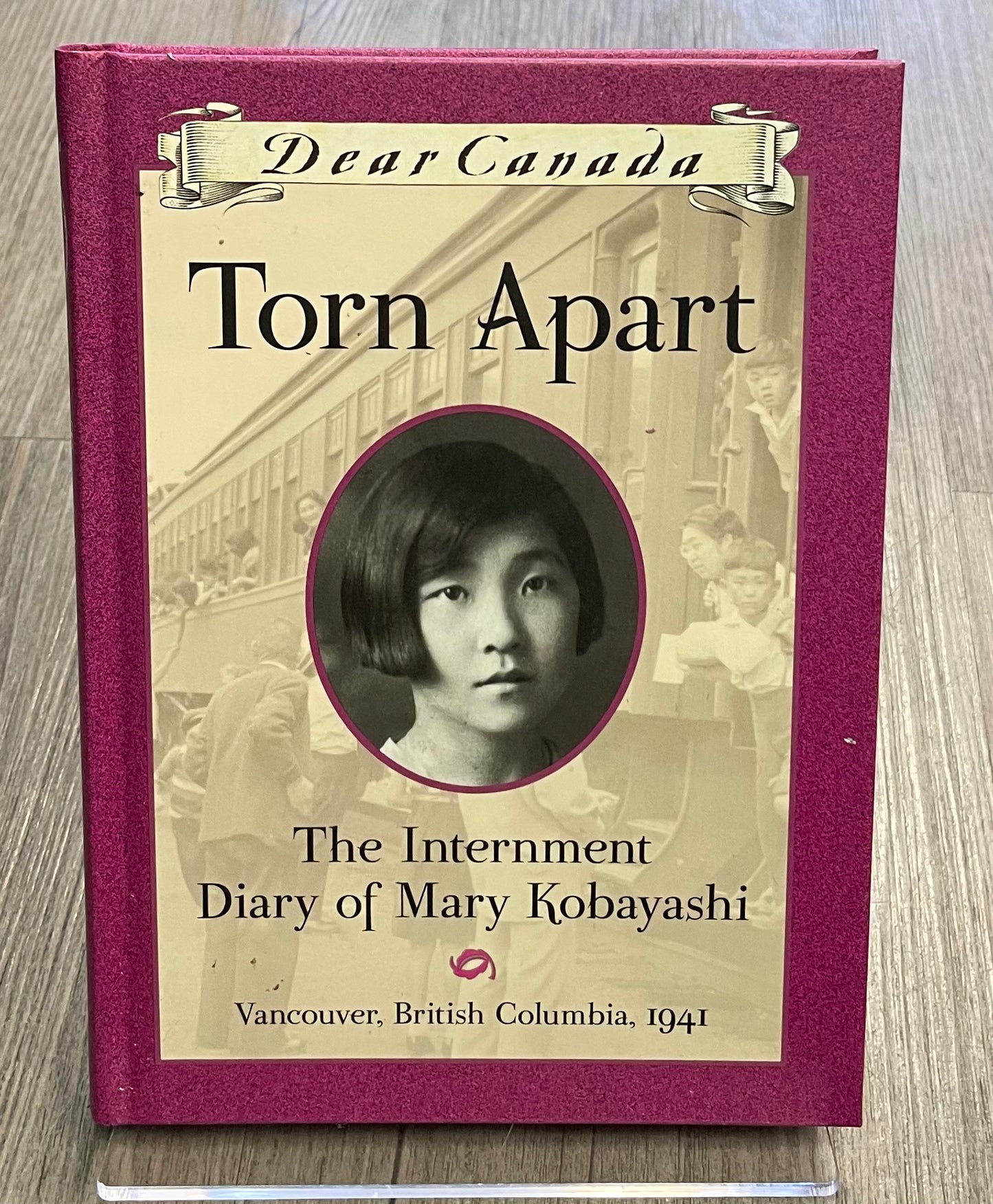Multi Torn Apart Diary Of Mary, Hardcover