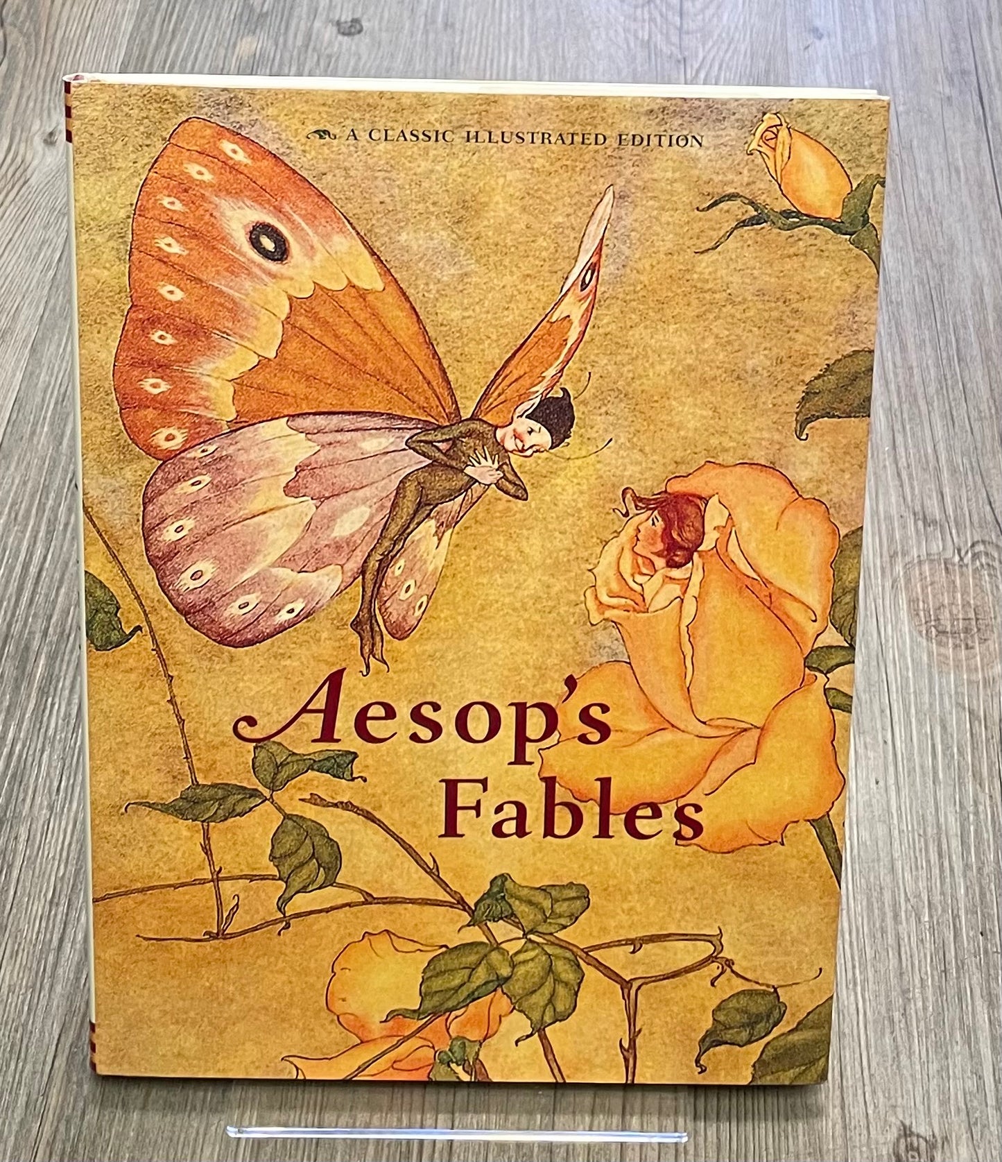 Multi Aesops Fables, Hardcover
