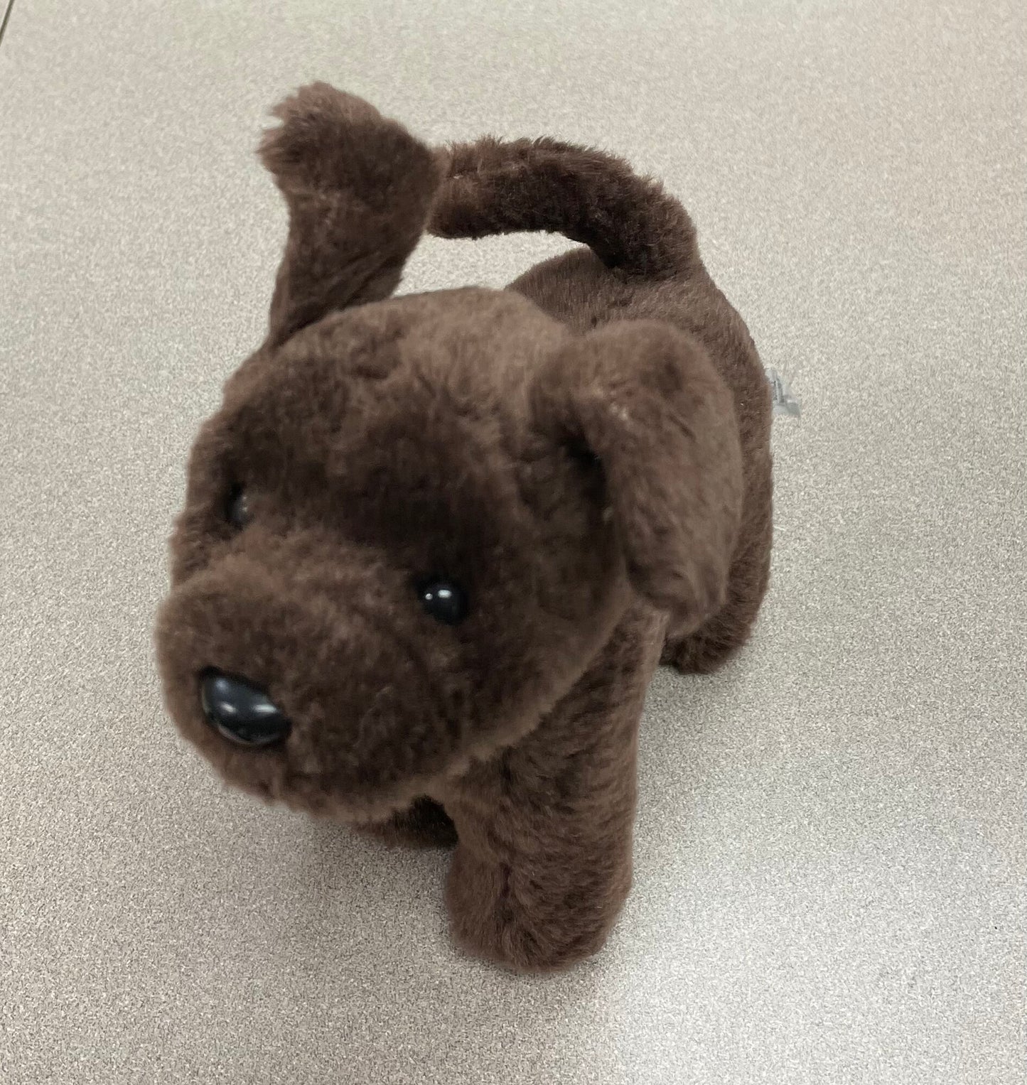 Choco American Girl Dog, Pre-owned