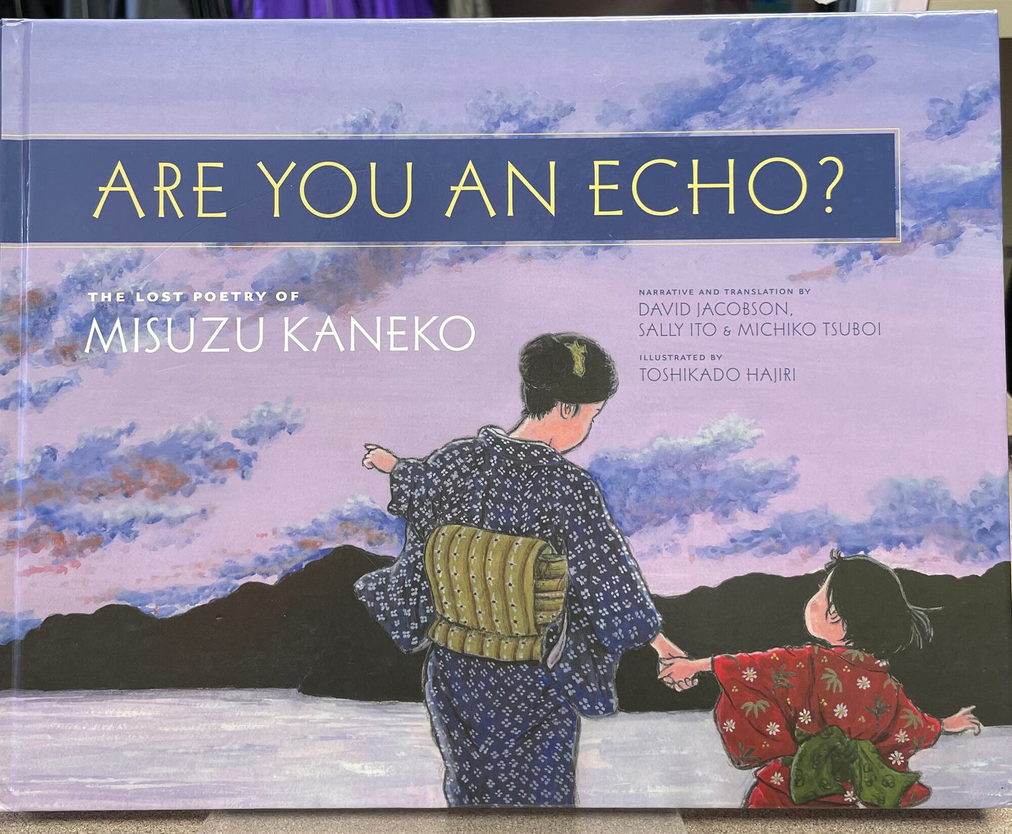 Multi Are You An Echo?, Hardcover