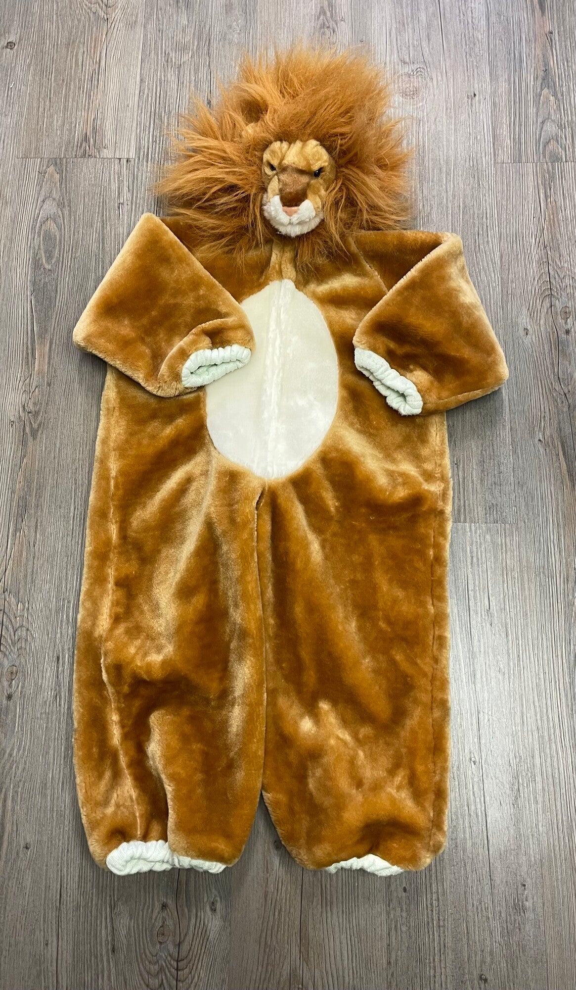 Brown Lion Costumes, 2-3Y