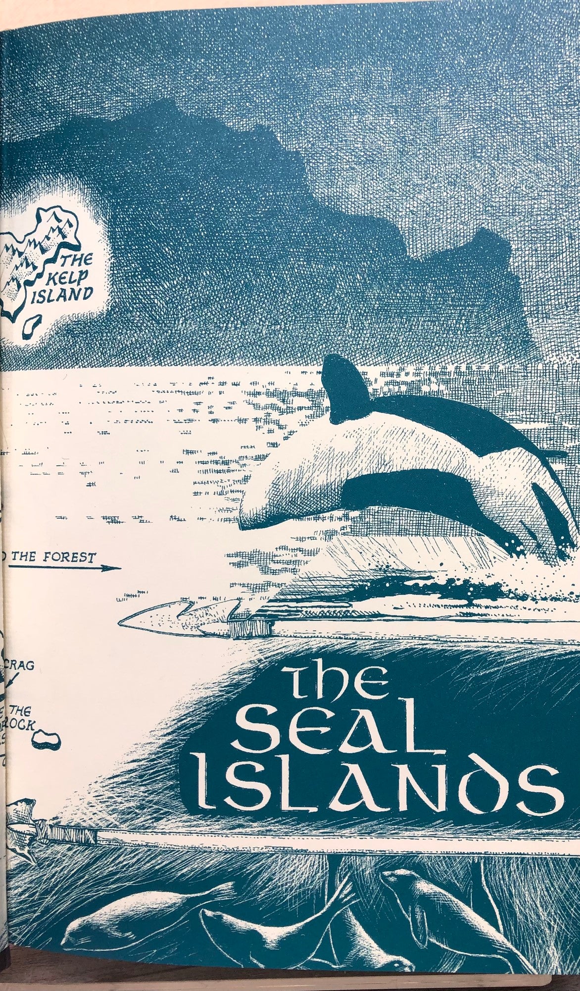 Black Spirit Walker, Hardcover